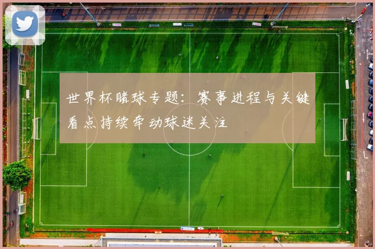 世界杯睹球专题:赛事进程与关键看点持续牵动球迷关注