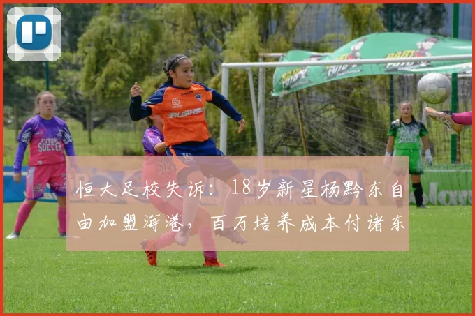 恒大足校失诉：18岁新星杨黔东自由加盟海港，百万培养成本付诸东流_经济_足球俱乐部_损失