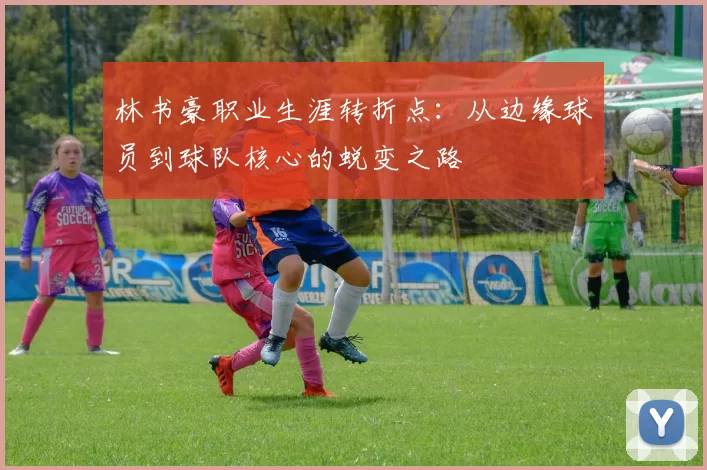 林书豪职业生涯转折点:从边缘球员到球队核心的蜕变之路